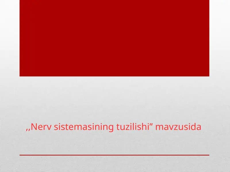 Nerv sistemasi