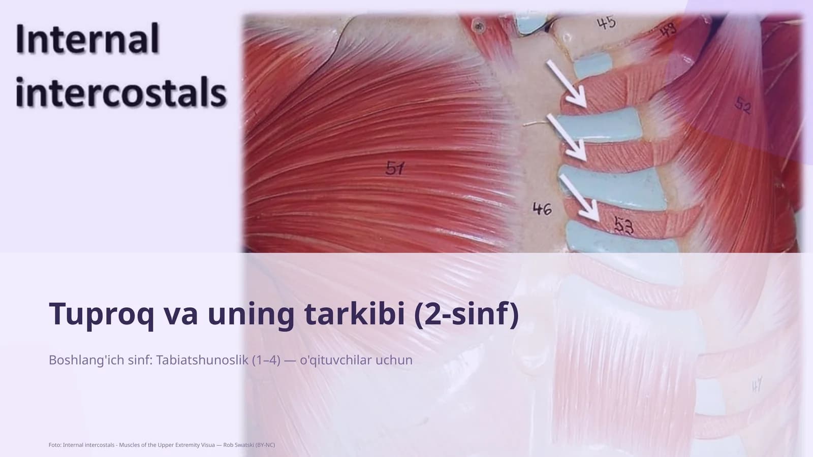 Tuproq va uning tarkibi (2-sinf)