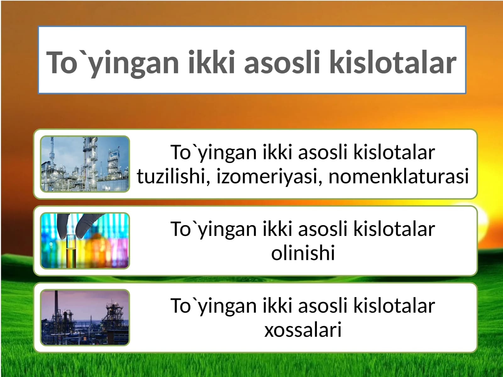 To`yingan  ikki  asosli  kislotalar
