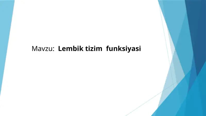 Lembik tizim  funksiyasi