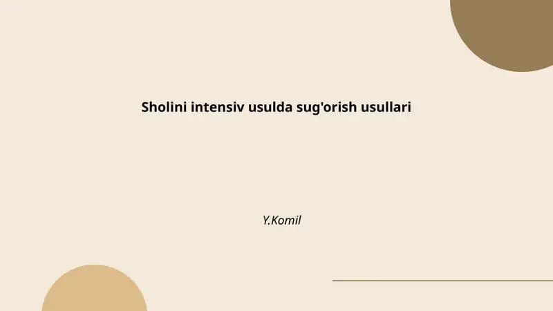 Sholini intensiv usulda sug'orish tarixi