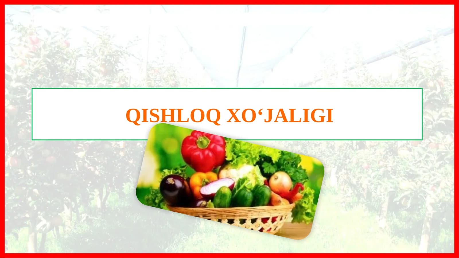 QISHLOQ XO‘JALIGI