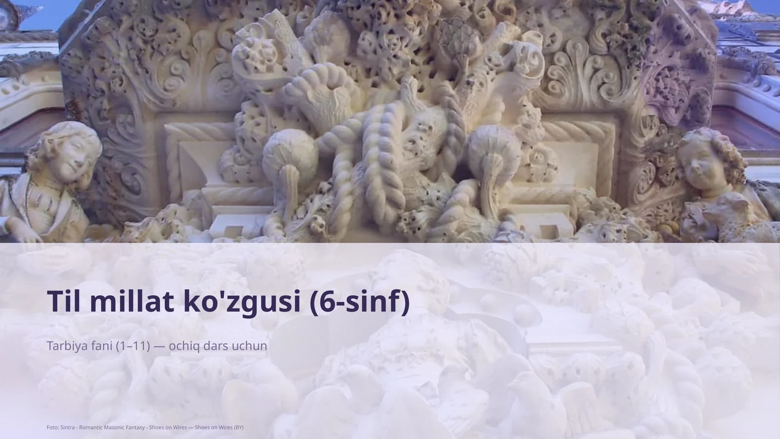 Til millat ko'zgusi (6-sinf)