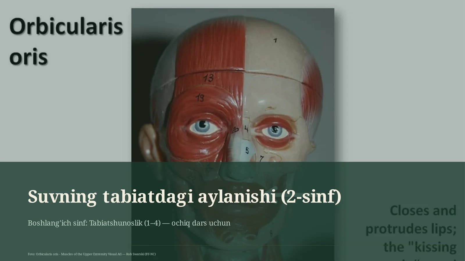 Suvning tabiatdagi aylanishi (2-sinf)