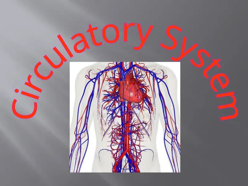 Circulatory System
