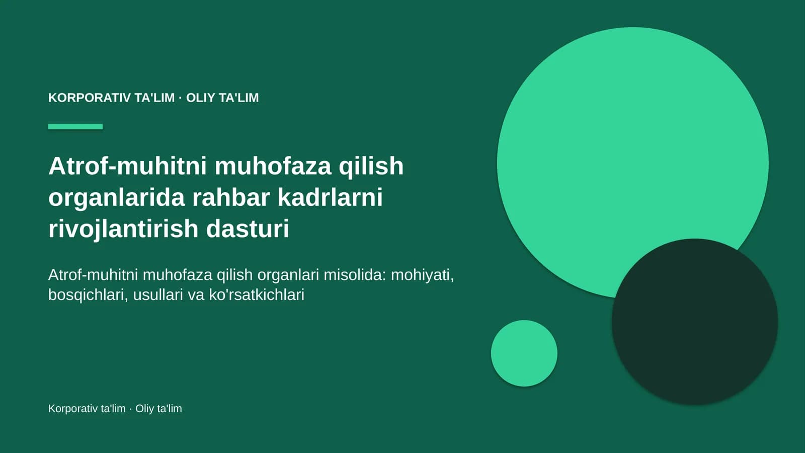 Atrof-muhitni muhofaza qilish organlarida rahbar kadrlarni rivojlantirish dasturi