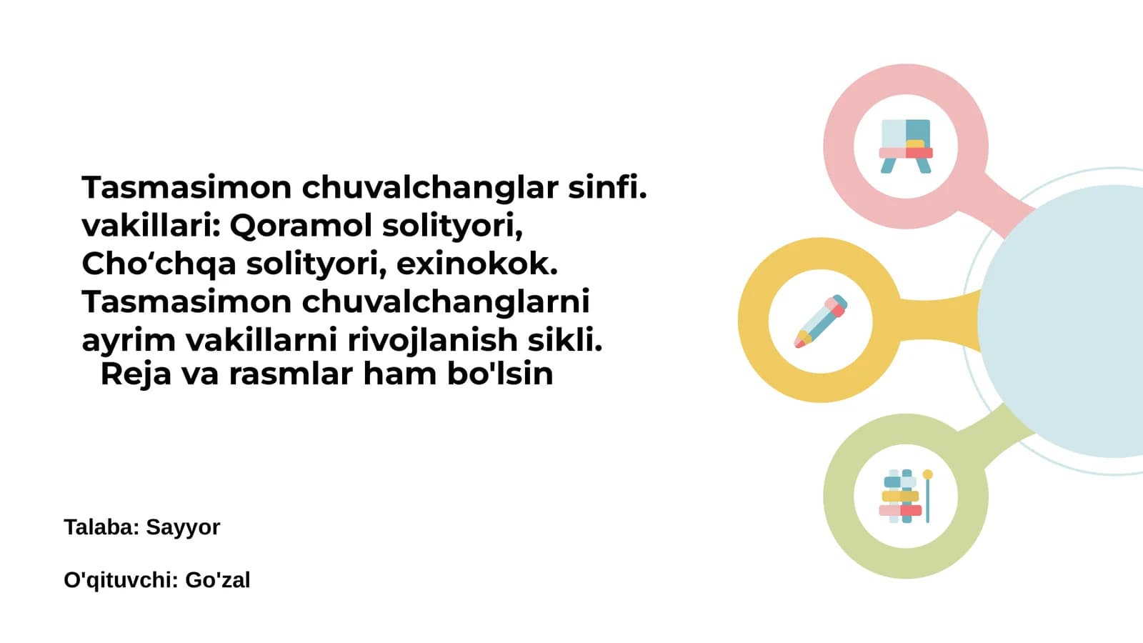 Tasmasimon chuvalchanglar sinfi