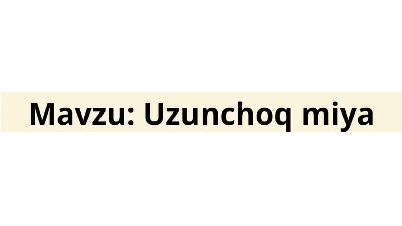 Uzunchoq miya taqdimot