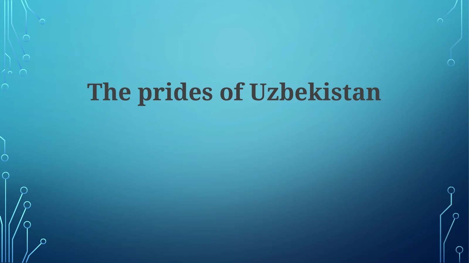 Uzbekistan's Culinary Delights