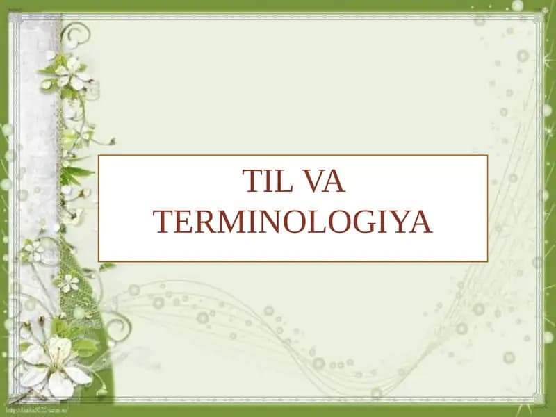 TIL VA TERMINOLOGIYA