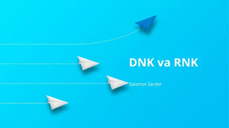 DNK va RNK