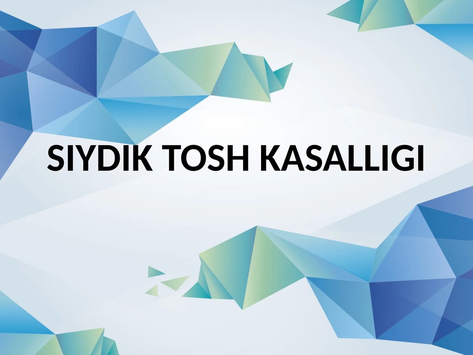 SIYDIK TOSH KASALLIGI