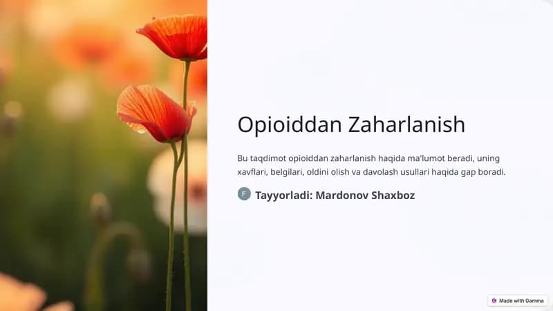 Opioiddan Zaharlanish