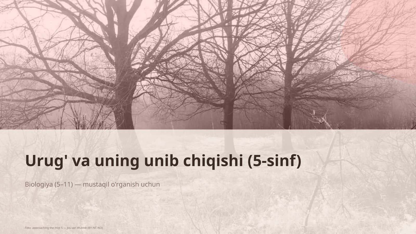 Urug' va uning unib chiqishi (5-sinf)