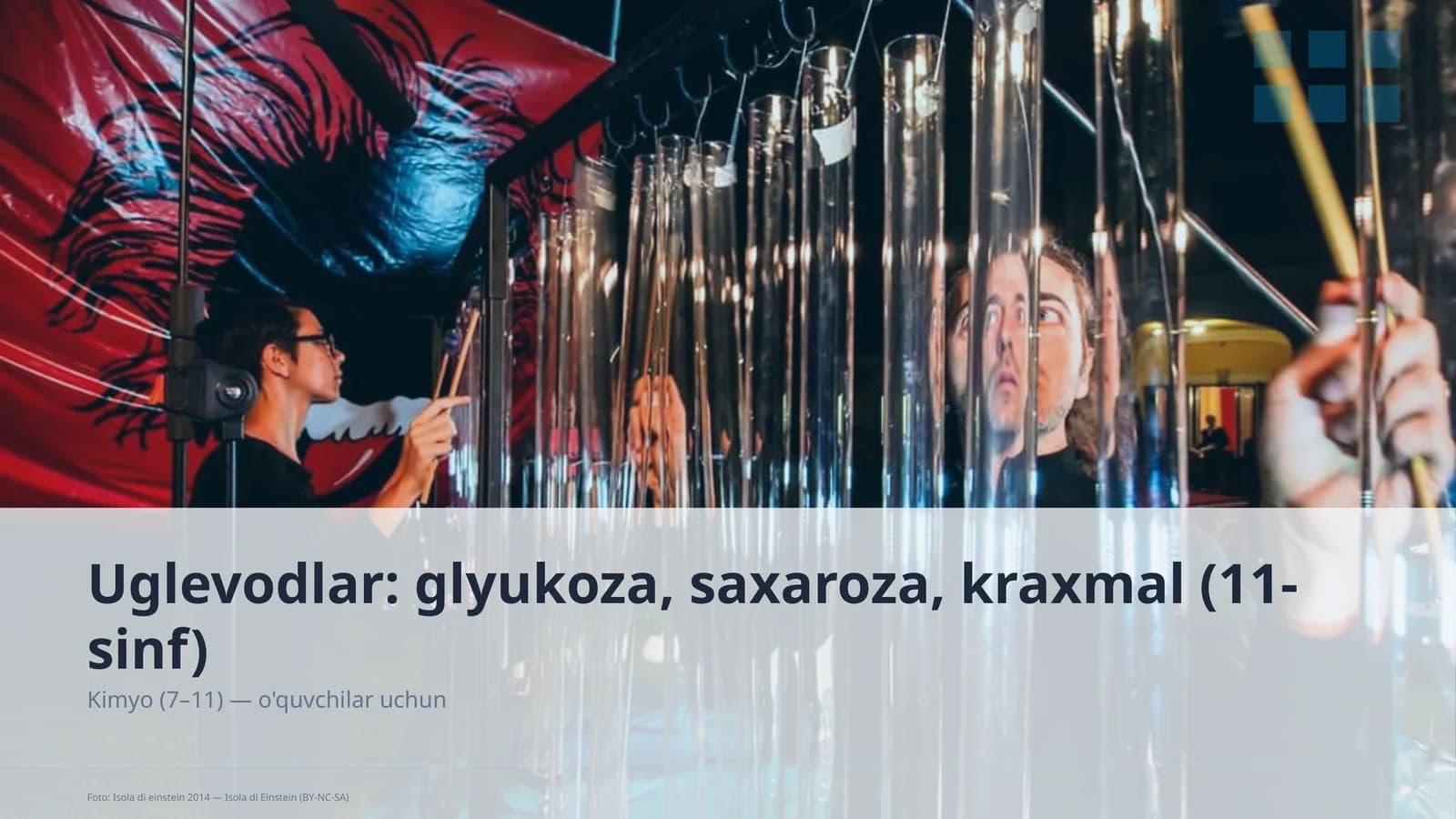 Uglevodlar: glyukoza, saxaroza, kraxmal (11-sinf)