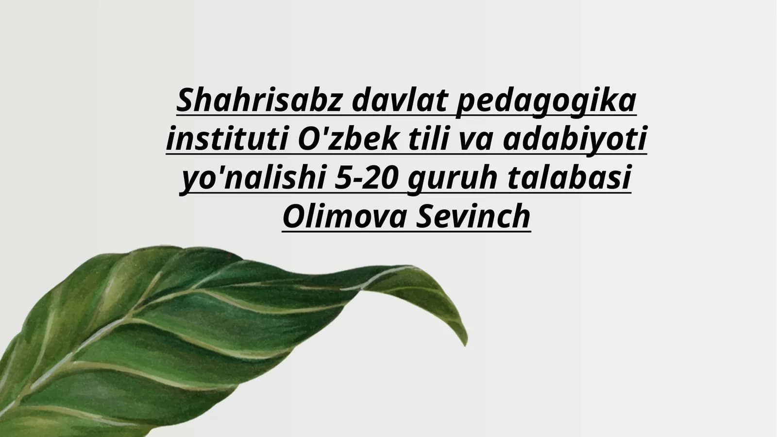 Lison ut-tayr