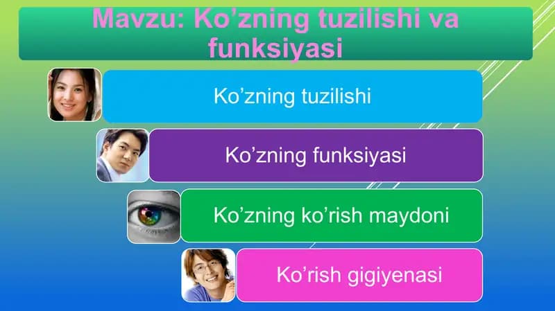 Ko’zning tuzilishi va funksiyasi