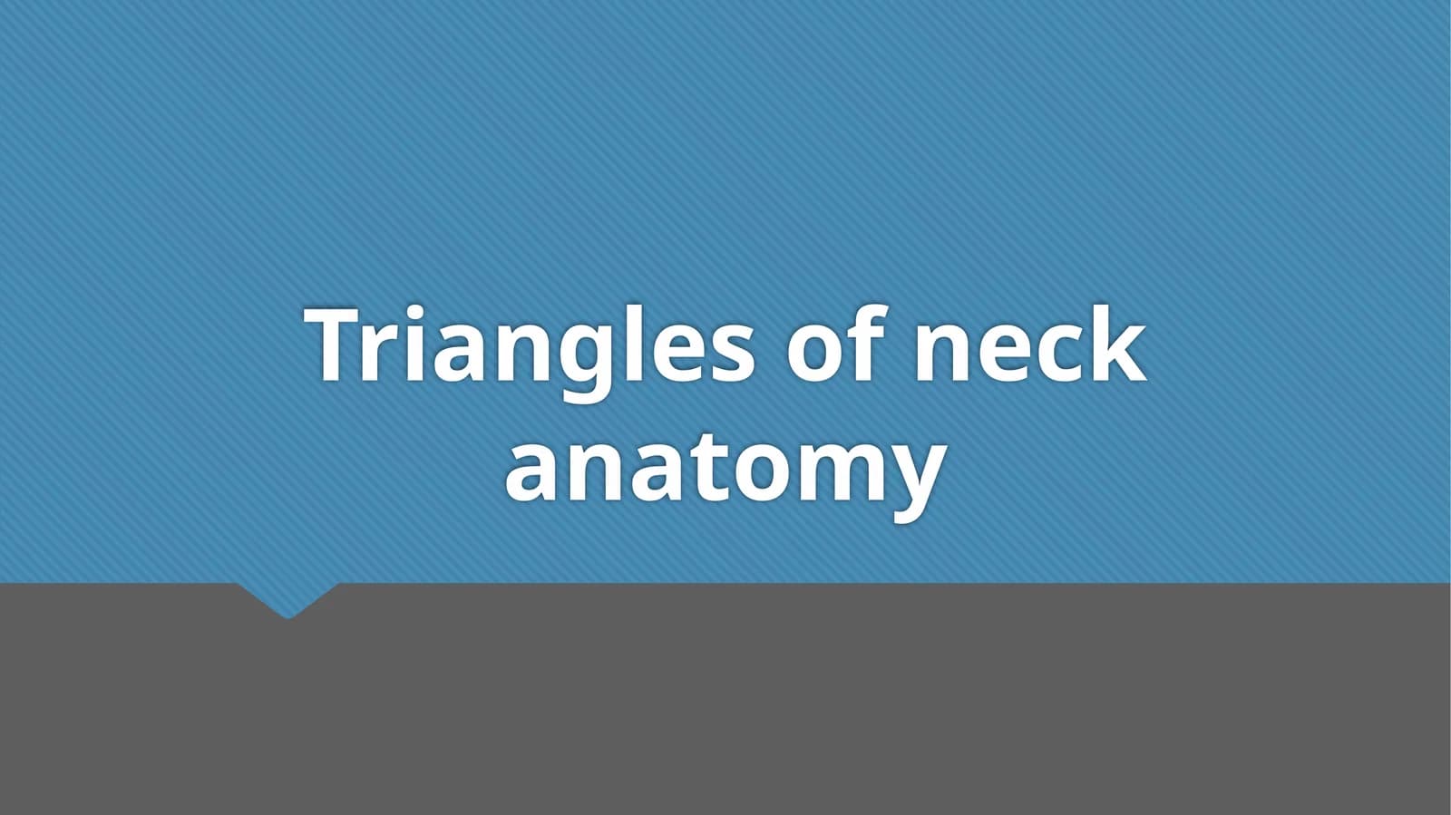 Triangles of neck anatomy