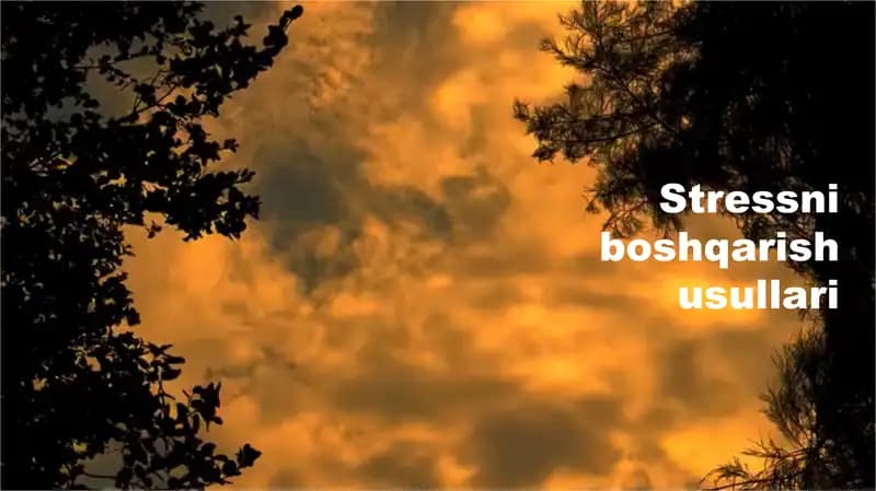 Stressni boshqarish usullari