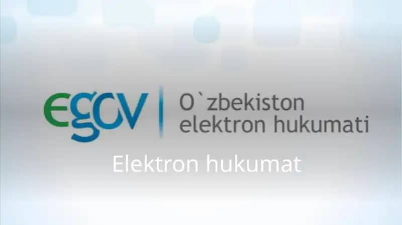 Elektron hukumat E-GOV