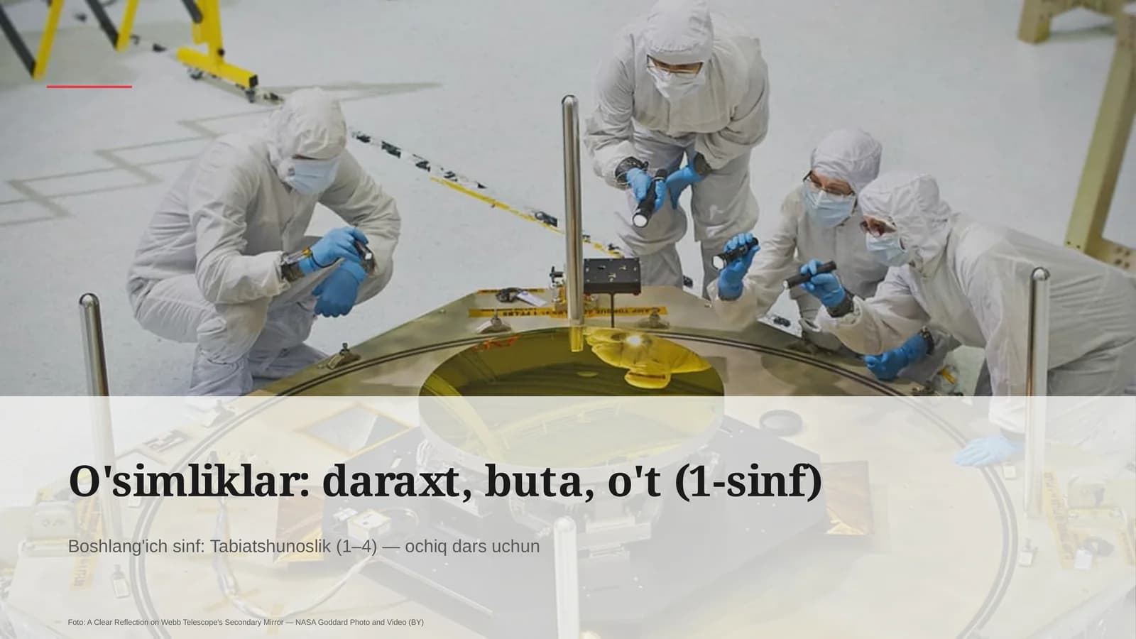 Tabiatshunoslik (1–4) — ochiq dars uchun