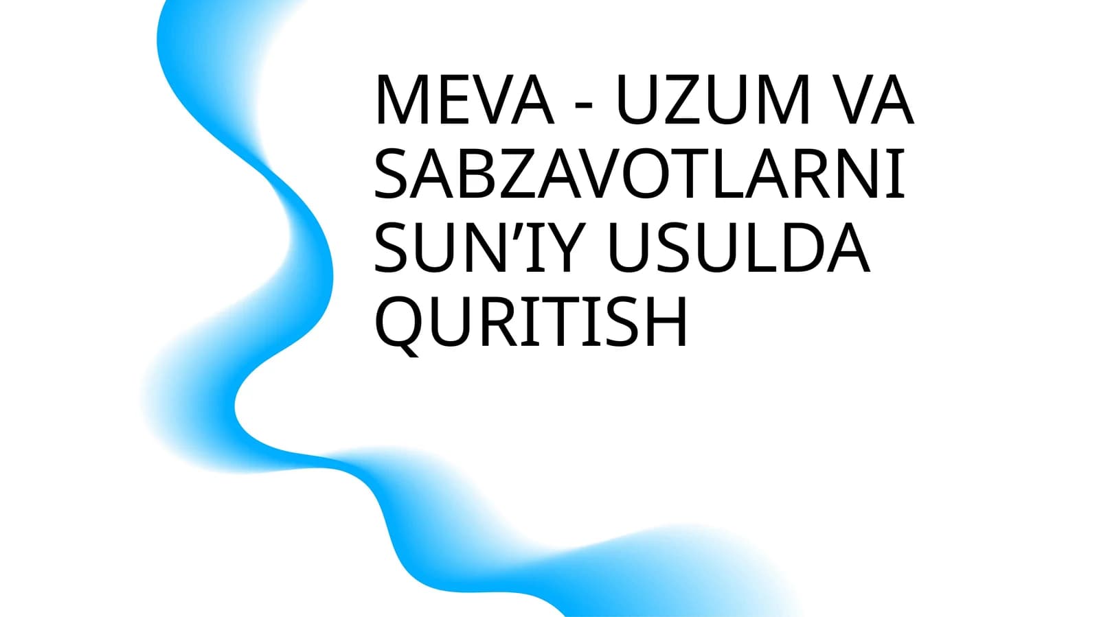 MEVA - UZUM VA SABZAVOTLARNI SUN’IY USULDA QURITISH