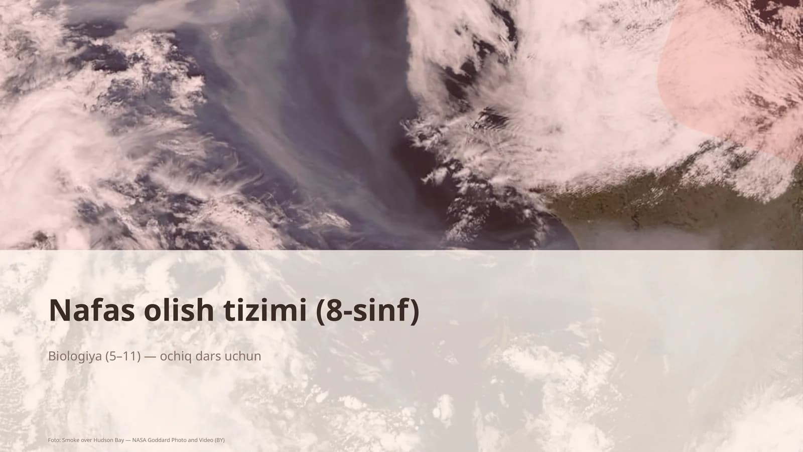 Nafas olish tizimi (8-sinf)