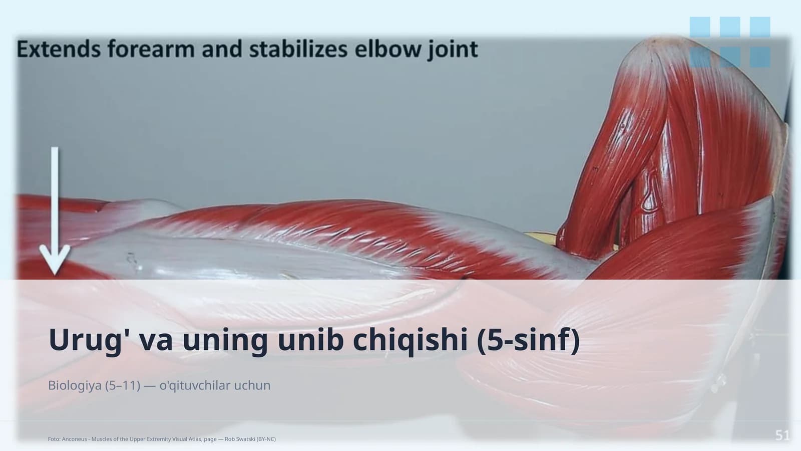 Urug' va uning unib chiqishi (5-sinf)