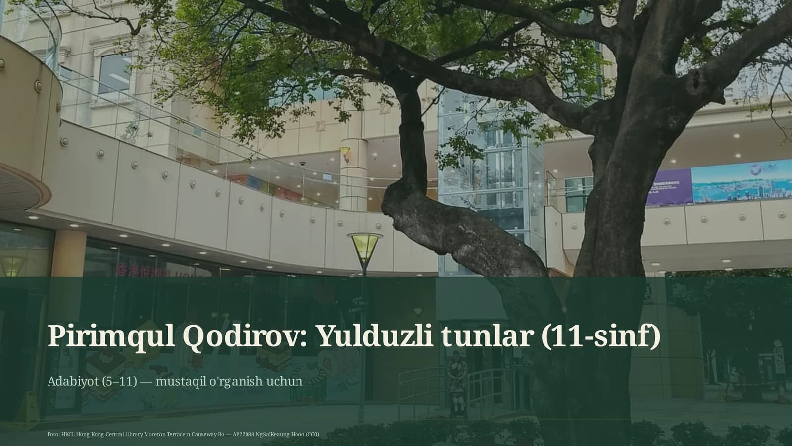 Yulduzli tunlar (11-sinf)