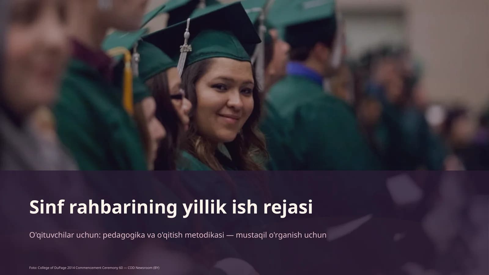 Sinf rahbarining yillik ish rejasi