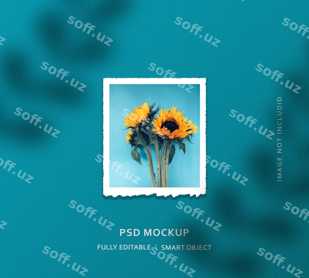 Qizil gul foto ramka namuna dizayni | Sunflower photo frame mockup design