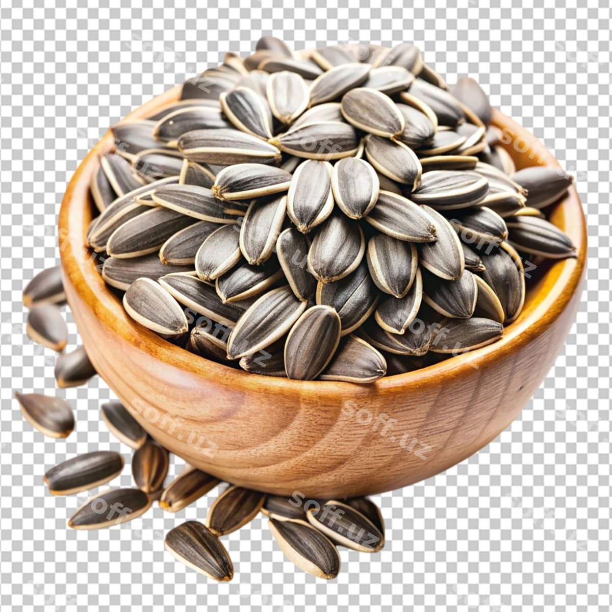 Qizil qurdi urug'lari shaffof orqa fonda | Sunflower seeds transparent background