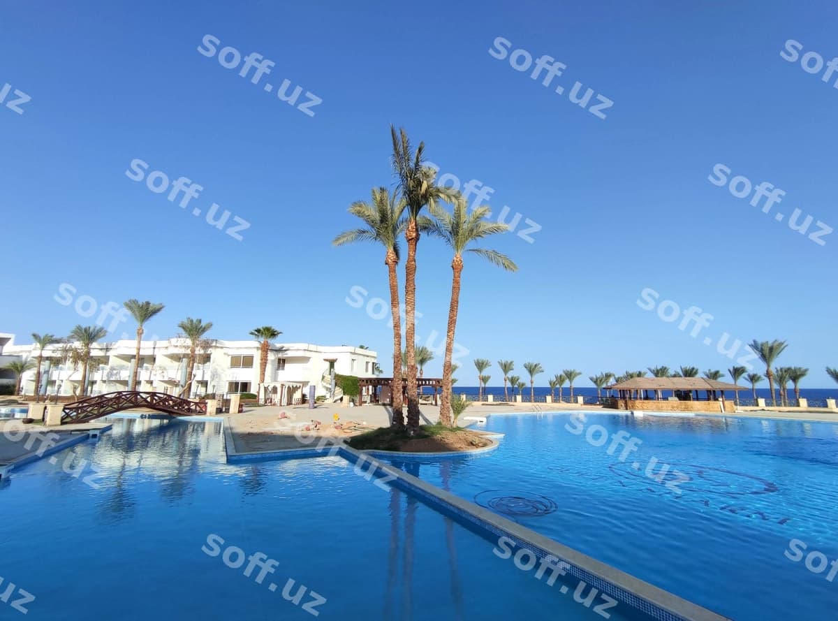 Hovuz palma daraxtlari bilan ko'k osmon | Swimming pool with palm trees blue sky