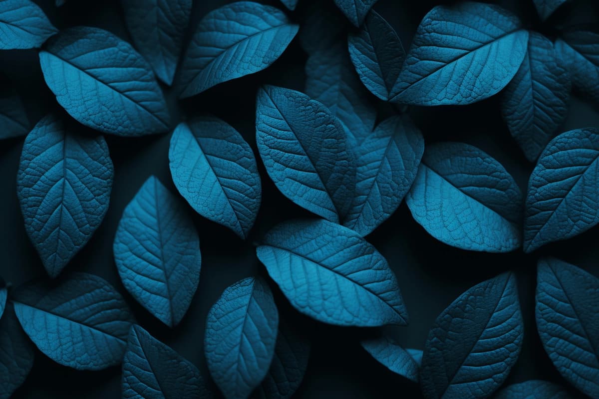 Yuqori ko'rinishdagi ko'k barglar ko'k fon bilan | Top view blue leaves with blue background