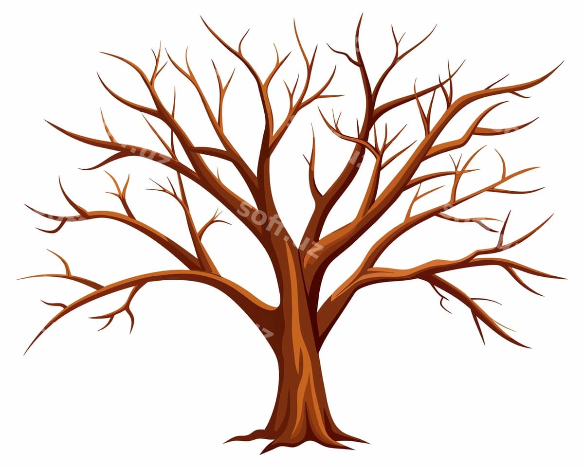 Barqatlar yo'q bo'lgan daraxt | Tree with no leaves it