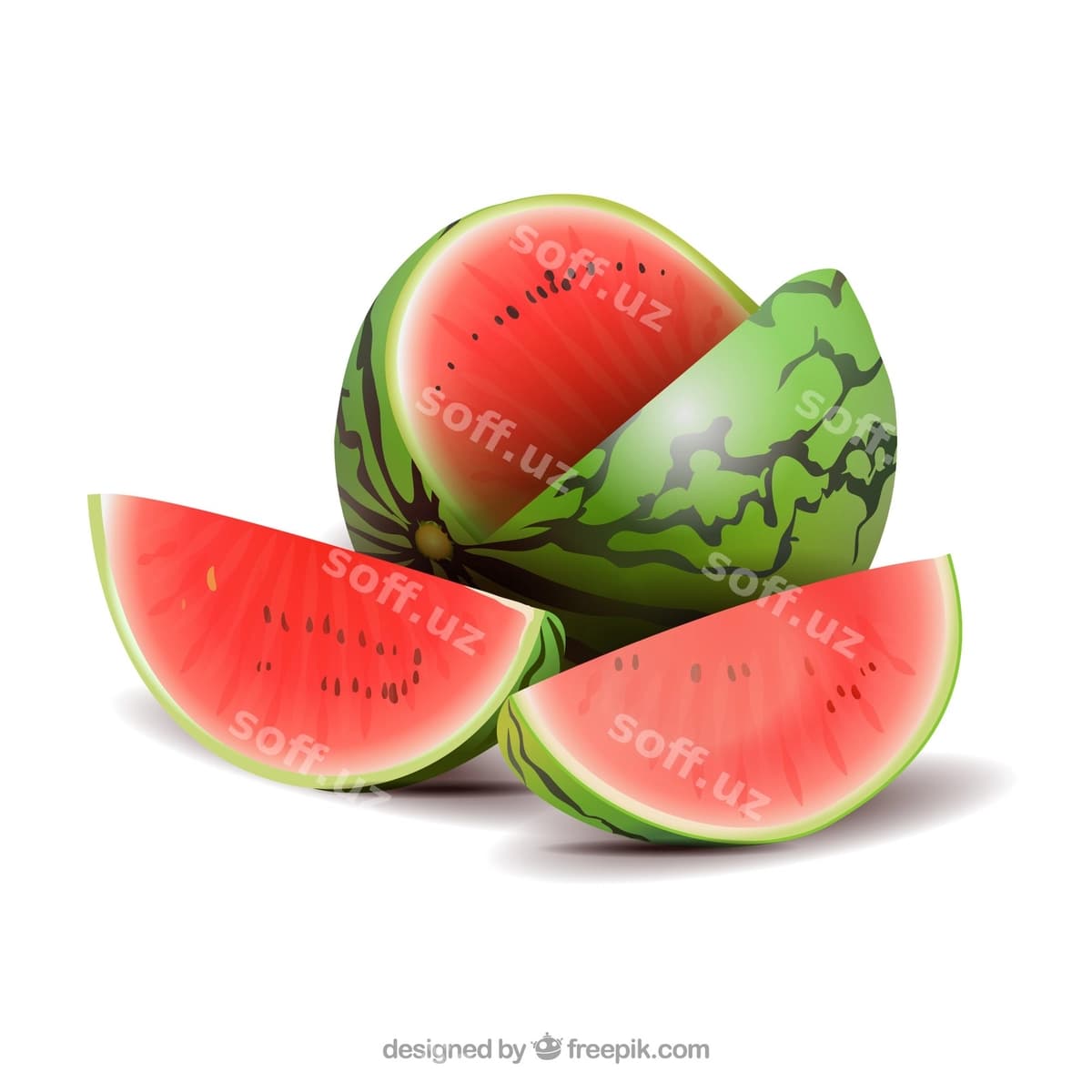 Tarvuzning real uslubi | Watermelon realistic style