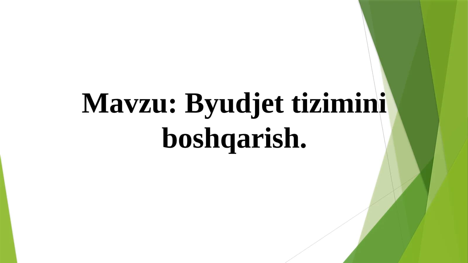 Byudjet  tizimini boshqarish