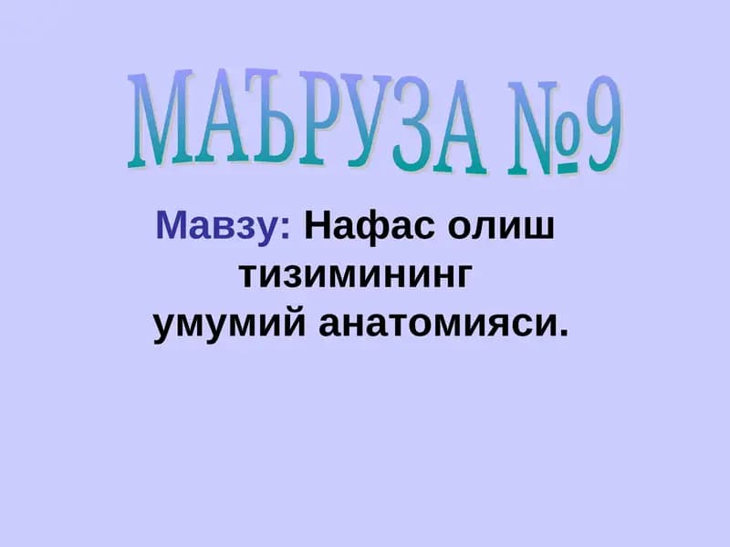 nafas olish sistemasining umumiy anatomiyasi