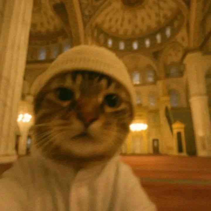 Hasan Husan