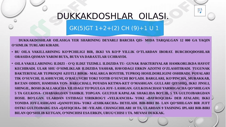 dukkakdoshlar oilasi