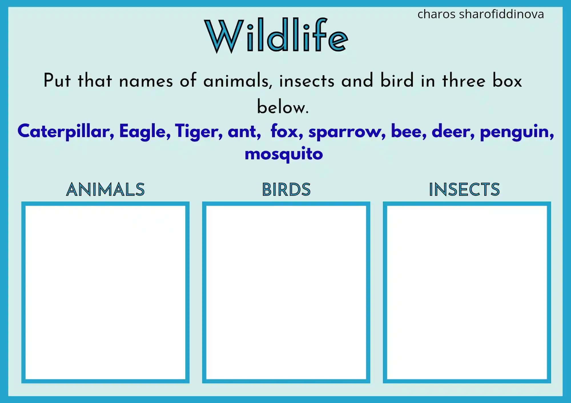 Vocabulary worksheet for kids