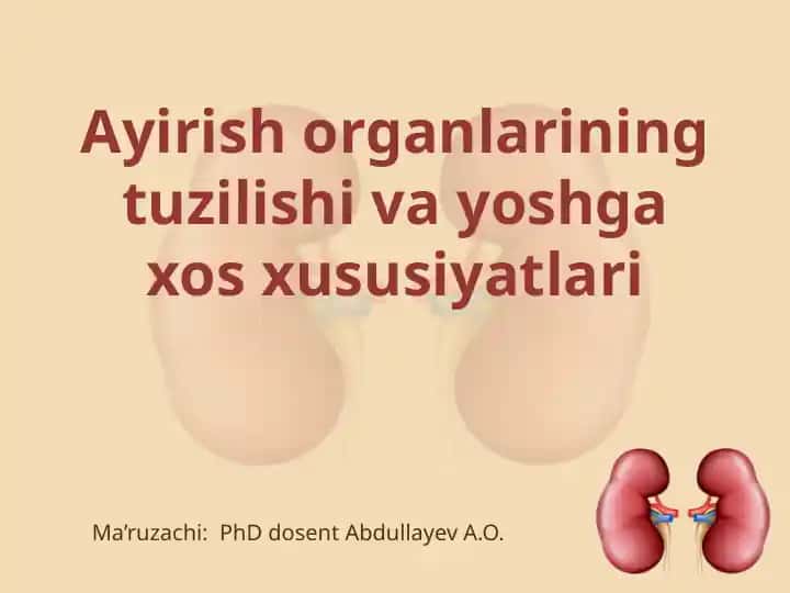 Ayirish organlarining tuzilishi va yoshga oid xususiyatlari