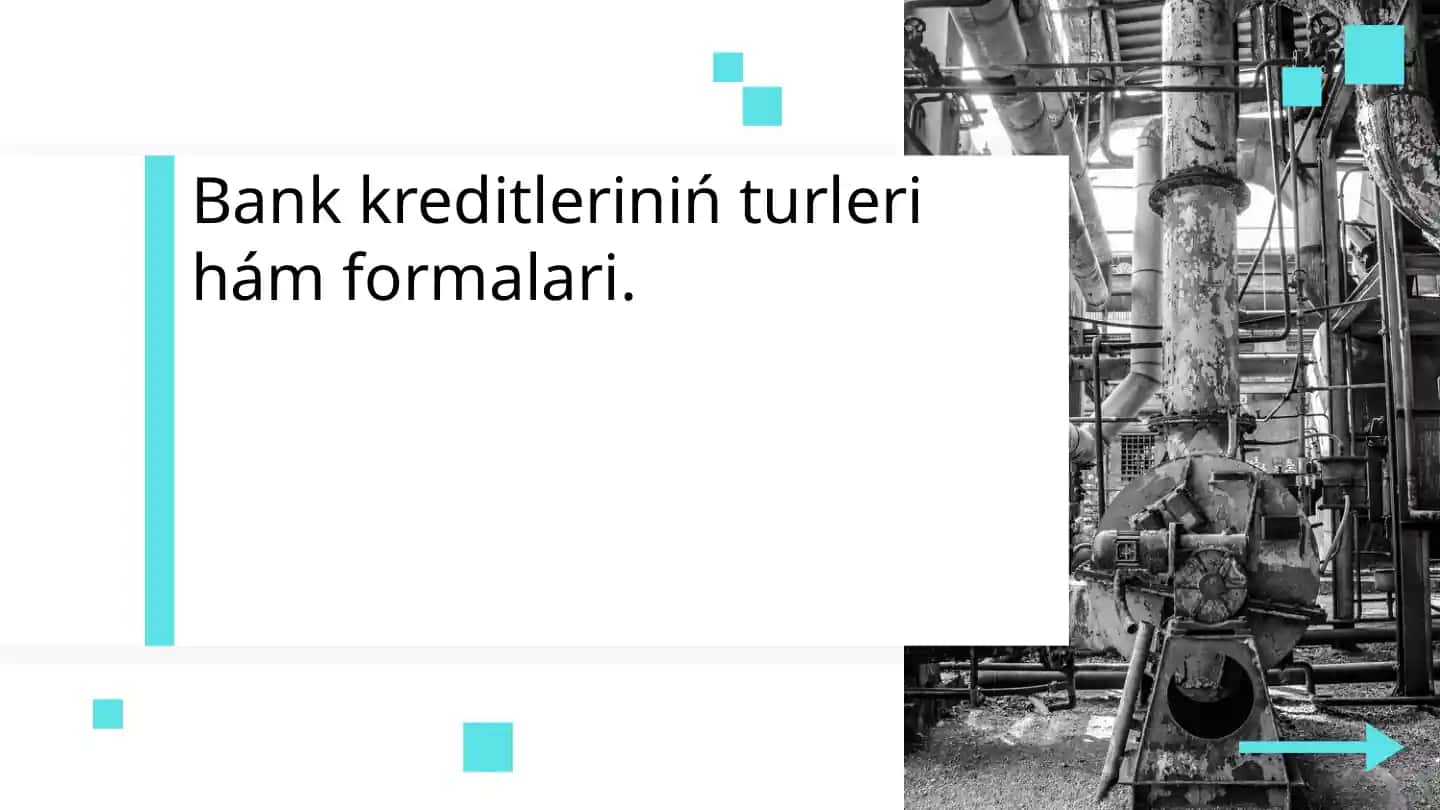 Bank kreditleriniń turleri hám formalari