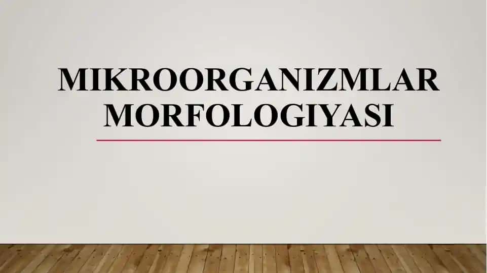 Mikroorganizmlar morfologiyasi