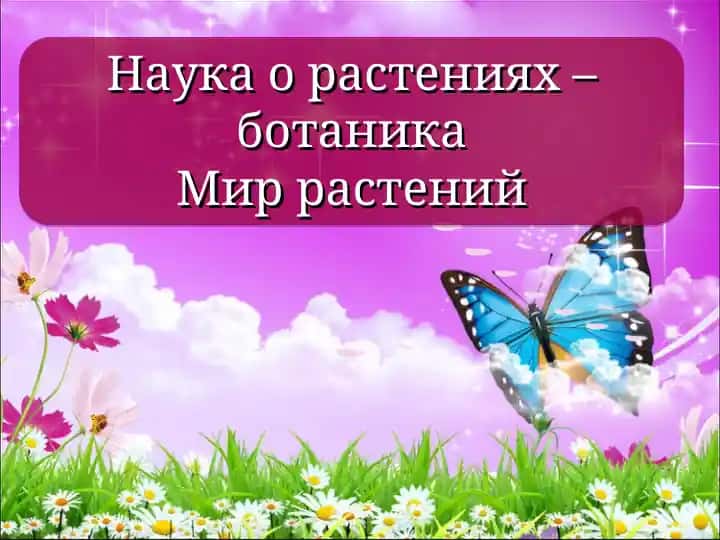 Наука о растениях – ботаника