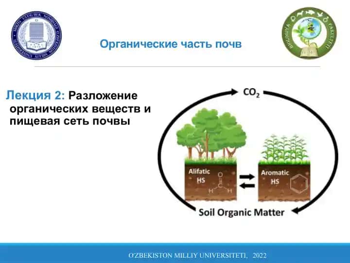 Органические части почв