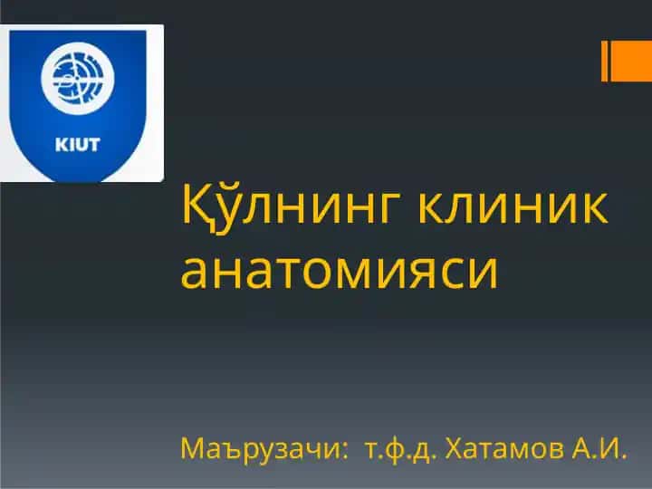 Қўлнинг ТОПОГРАФИК АНАТОМИЯСИ