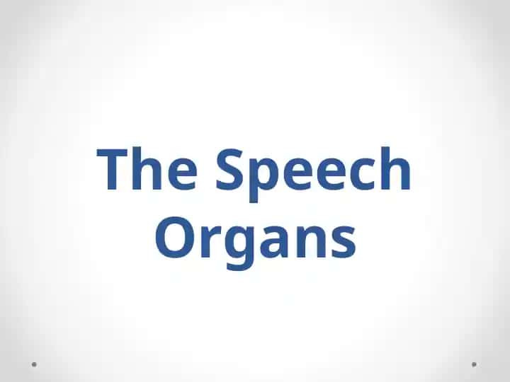 The Speech Organs