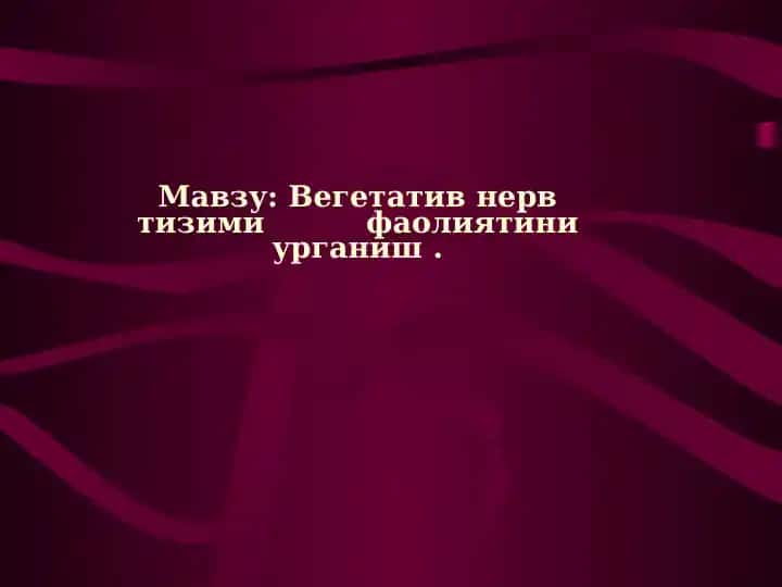 Вегетативнервтизими