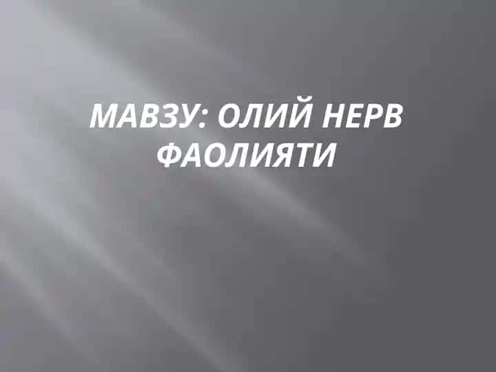 Oliy nerv faoliyati